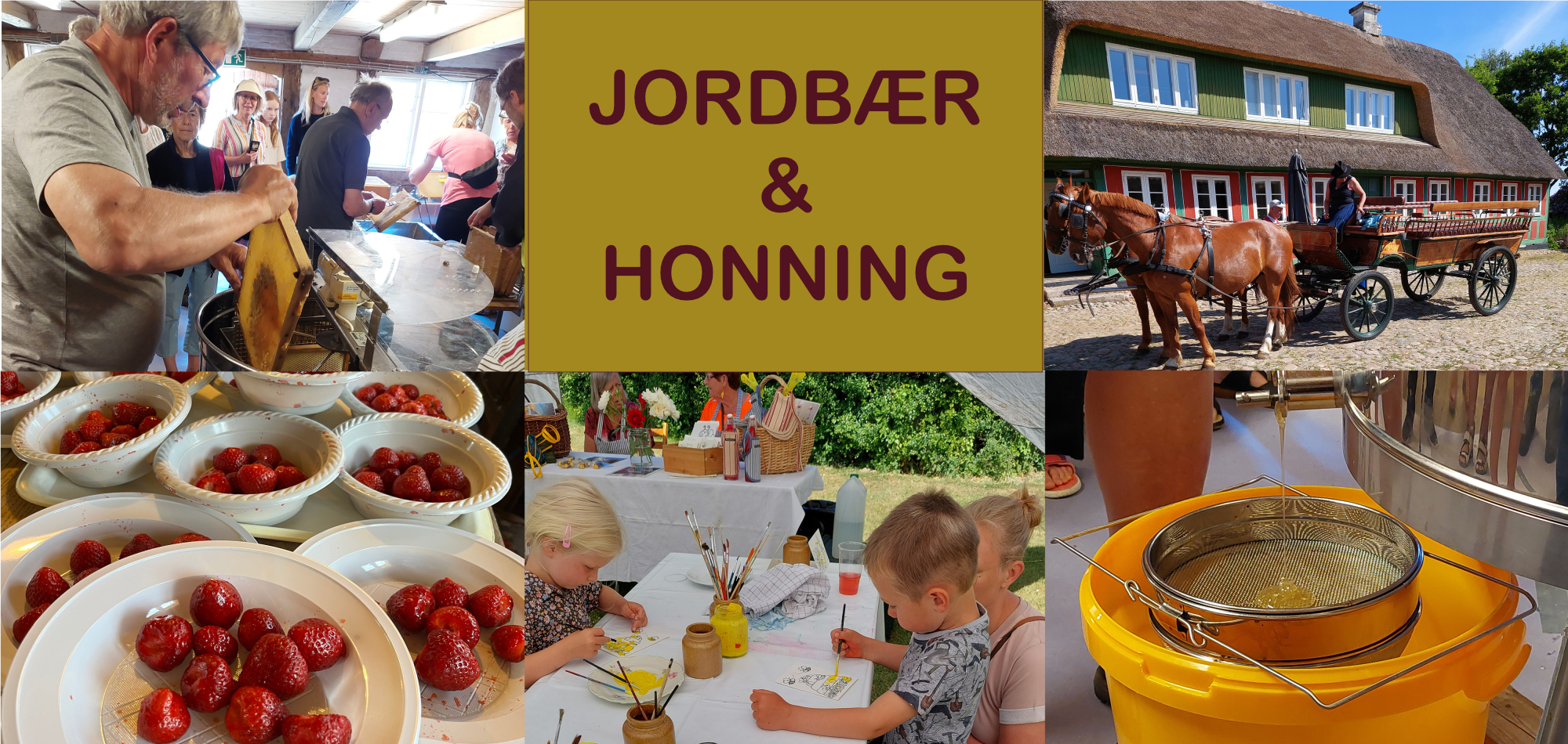 Stemningsbilleder fra Jordbær og honning- biavlerne